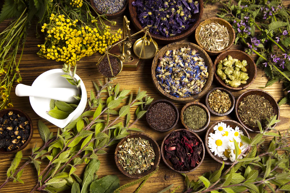 Why Choose Herbal Cosmetics Over Chemical Products?